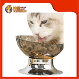 PET BOWL [GREY / TRANSPARENT / GREEN / ORANGE]