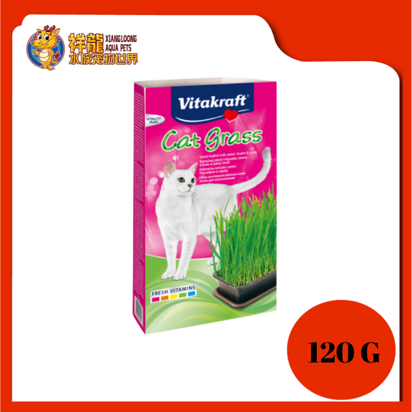 CAT GRASS 120G