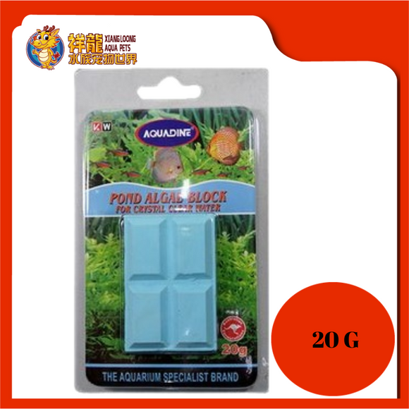 AQUADINE POND ALGAE BLOCK 20GM