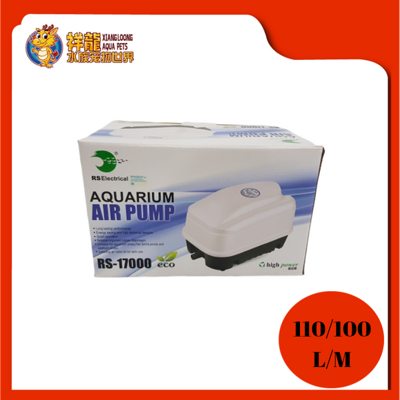 AIR PUMP RS-17000